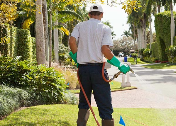 About Whitehall MI Pest Control Pros